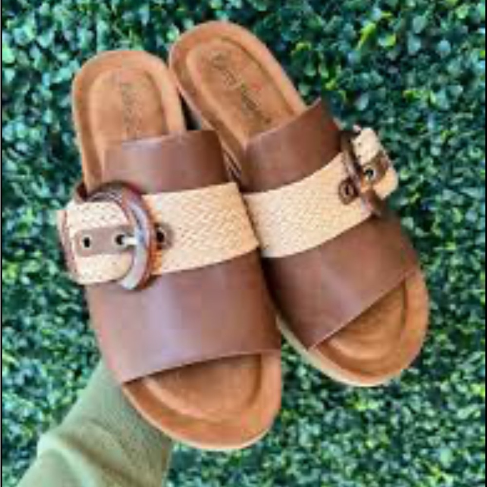 Pierre Dumas Brown and Tan Mules